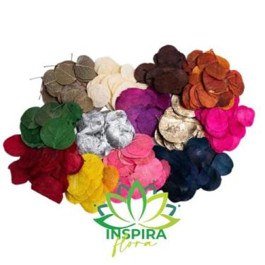 Imagem de Folhas Secas Natural Desidratadas Decoração Ornamentação - INSPIRA FLO