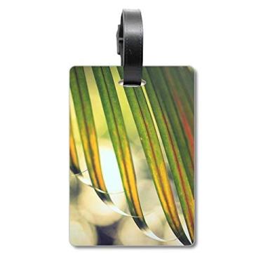 Imagem de Folha de sol, imagem de plantas, bolsa de bagagem, etiqueta para cartão de bagagem, etiqueta para pendurar