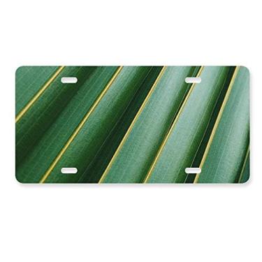 Imagem de DIYthinker Placa de carro com foto natureza de folhas verdes para decoração de carro, acessório de aço inoxidável