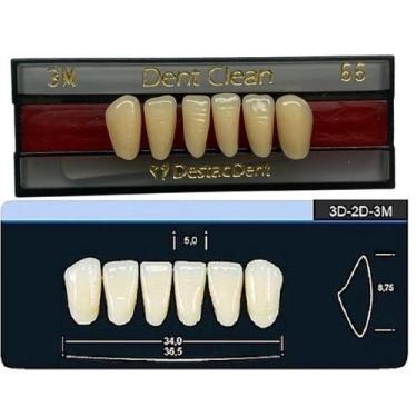 Imagem de Dente Dent Clean Anterior 3M Inferior - Imodonto