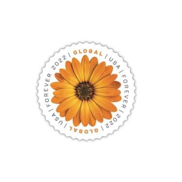 Imagem de United States Postal Service African Daisy 2022 (Folha De 10) Correio Internacional Global Postage Selos Forever Scott #5680