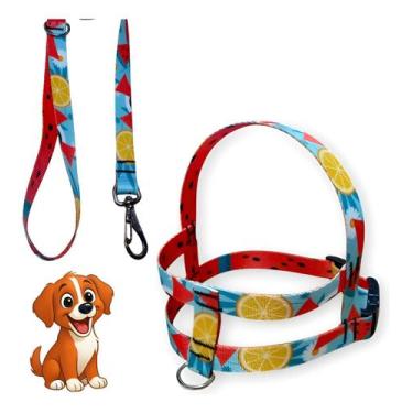 Imagem de Coleira Peitoral Lari Pet Com Guia Cães Seda Estampada N5, Frutas
