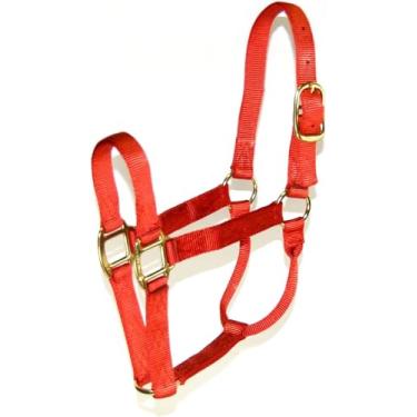 Imagem de Hamilton Cabresto de qualidade de nylon de 2,5 cm para cavalo de 1100 a 725 kg, grande, tijolo vermelho