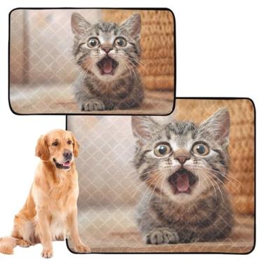 Imagem de Almofadas de xixi engraçadas para gatos com bocejo, lavável, para gatos, à prova d'água, tapete de cercadinho para cães, médio + grande, conjunto de 2