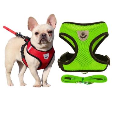 Imagem de Coleira Peitoral com Guia Cães e Gatos Porte Pequeno a Médio Diversas Cores e Tamanhos (Verde, M)