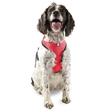 Imagem de Coleira para cães Furhaven Pet | Colete de malha respirável acolchoado e ajustável para cães e gatos – Disponível em várias cores e tamanhosFurhaven Large 624802