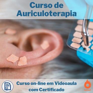 Imagem de Curso on-line em videoaula de Auriculoterapia com Certificado