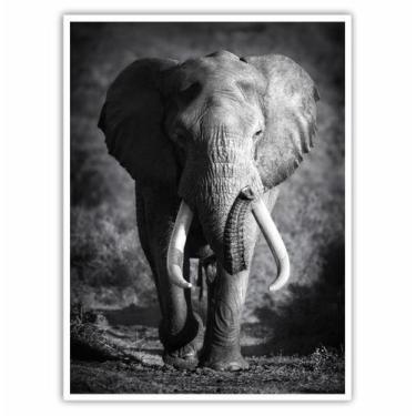 Imagem de Quadro Decorativo Elefante Preto e Branco para Sala Quarto - Essencial