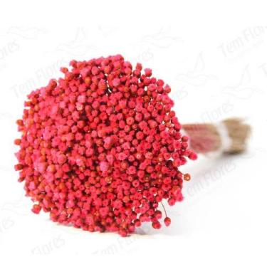 Imagem de Sempre Viva Vermelho Desidratado - Tem Flores