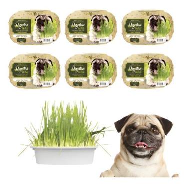 Imagem de Graminha Cães Pet Para Digestão Elimina Bola De Pelo 50g 6un - Grama K