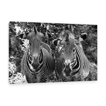 Imagem de Imagens de animais em preto e branco para decoração de parede arte de animal preto e branco imagem de zebra impressão de imagem de cavalo em tela pintura de parede zebra decoração de parede para sala