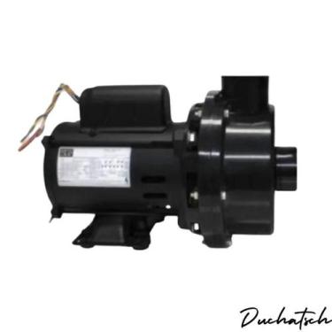 Imagem de Motobomba CMB 3/4CV Sem Pré-Filtro 110/220V SPFI-075HE Sibrape, Bivolt