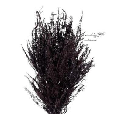 Imagem de Samambaia Três Andares Azul Desidratado - Tem Flores