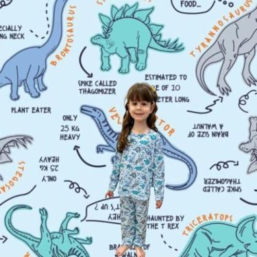 Imagem de Pijama Meia Estação Dinossauro Infantil 100% Algodão Tamanho 6 Anos