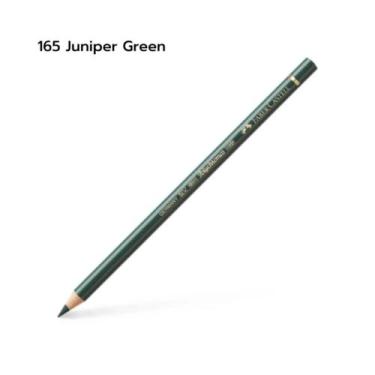 Imagem de Lápis de Cor Faber Castell Polychromos Avulso, 165 Juniper Green