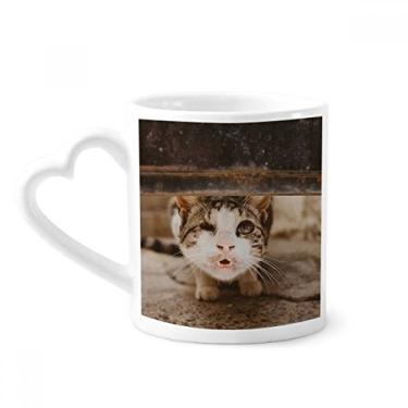Imagem de Caneca de fotografia de gato engraçado animal caneca de café cerâmica copo de coração de vidro