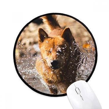 Imagem de DIYthinker Tapete de mouse para fotografia animal fofo cachorro japonês desktop escritório tapete redondo para computador