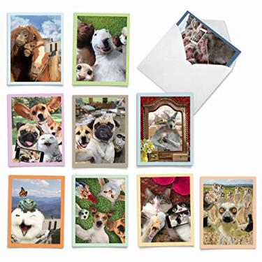 Imagem de The Best Card Company - 10 cartões adoráveis em branco (10 x 5,12 polegadas) - Cartões de vida selvagem e animais, conjunto infantil em caixa sortido - Selfies de animais M2373OCB-NB