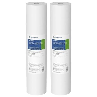 Imagem de Pentair Pentek DGD-2501-20 Filtro de água azul grande, substituição de cartucho de filtro de sedimentos para toda a casa, 50,8 cm x 11,4 cm, 1 mícron, pacote com 2, branco