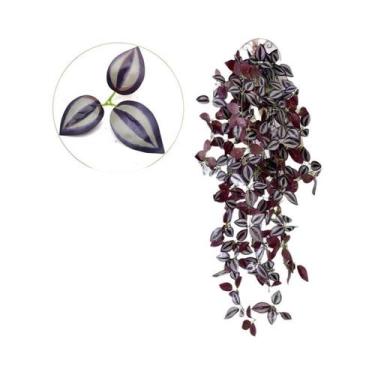 Imagem de Folhas Verdes Artificiais De 105cm, Trepadeiras Falsas De Scindapsus C