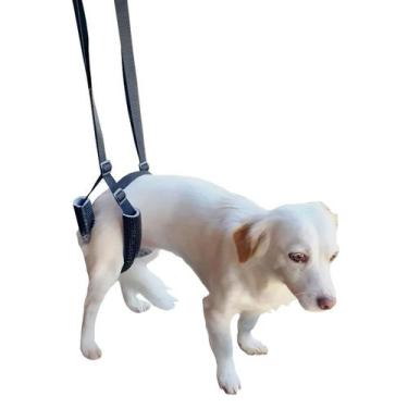 Imagem de Suporte Quadril Tamanho P Suspensor Traseiro Cachorro Deficientes Órte