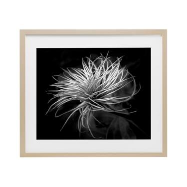 Imagem de Stupell Industries Impressão emoldurada de bétula contrastante de folhas botânicas torcidas sob vidro, design por Phillip Flowers, 33 x 40