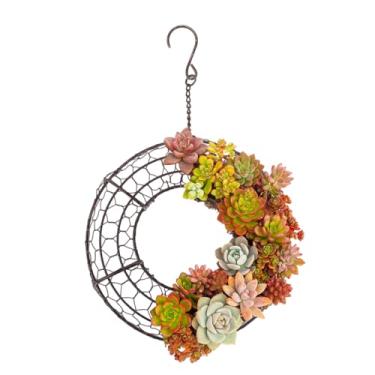 Imagem de Suporte de Plantas de Parede,Decoracao de Parede para Exibicao de Flores - Porta-Grinaldas de Plantas para Porta da Frente | para Varanda Jardim Quintal Sala Quarto Escritório