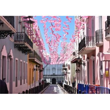 Imagem de Duluxykl Pano de fundo rosa de rua de Porto Rico 3 x 2,1 m rosa San Juan Street Downtown Casas e Palácio do Governador, cenário fotográfico, decoração de parede, suprimentos de festa, adereços de