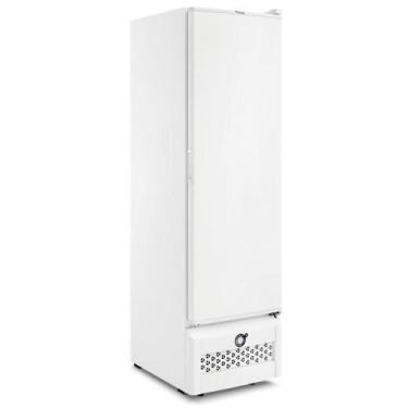 Imagem de Freezer Conservador Vertical Fricon 284 Litros Tripla Ação Porta de Ch