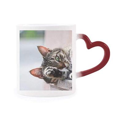 Imagem de Caneca sensível ao calor com foto de gato de atividade animal, caneca de grés que muda de cor vermelha
