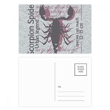 Imagem de Discover World Conjunto de cartão postal lagosta Marine Organism Cartão de felicitações de aniversário