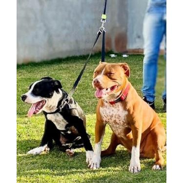 Imagem de Guia Dupla Para Cachorro com Destorcedor - GARI & Co (PRETO)