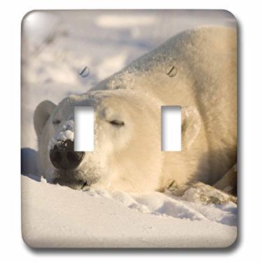 Imagem de 3dRose lsp_70248_2 Canada, Manitoba, Hudson Bay, Churchill Polar BearsCN03 BJA0042 Janyes Gallery Interruptor de interruptor duplo