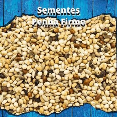 Imagem de Mistura de Sementes Coleiro 500g - MS