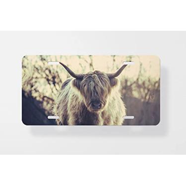 Imagem de Capa para placa de licença de vaca escocesa Highland – Capa para placa de carro – Capa para placa de carro 15 x 30 cm