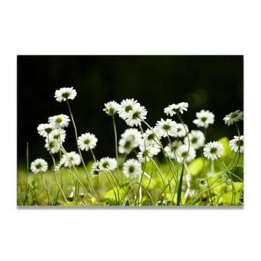 Imagem de Impressão em tela fotorrealista de crisântemo branco pequeno - Arte de parede para decoração de casa tranquila 20 x 30 cm sem moldura