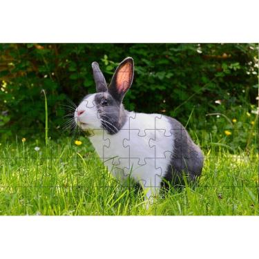 Imagem de Quebra-Cabeça Belo Coelho 60 Peças Educativo E Inteligente