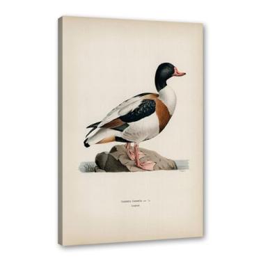 Imagem de Pôster de arte de parede vintage com estampa de pato rústica, pássaros, lago, natureza, retrô, pintura, quadros, decoração de quarto de fazenda (SKU7,20,3 x 30,5 cm = (20 x 30 cm), emoldurado (tela