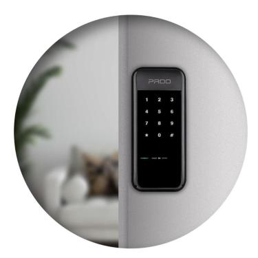 Imagem de Fechadura Digital Alarme e Senha De Sobrepor FDS 10 Preto Pado