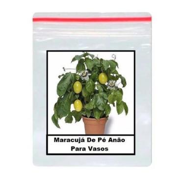 Imagem de Sementes Maracujá De Pé Anão Para Vasos 100 unidades - TERRA VIVA
