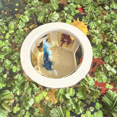 Imagem de HOZOE Rede de aquário Betta, esconderijo e caverna Betta, anel de alimentação flutuante para peixes e camarões, acessório de decoração flutuante de aquário (cor de madeira)