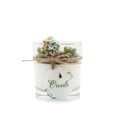 Imagem de Vela Suculenta Decorativa 150 g em Vidro Transparente Aroma Suave Cera de Coco Vegetal (Vanilla)
