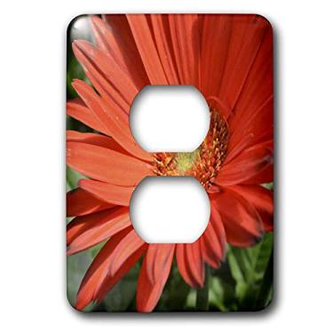 Imagem de 3dRose Lsp_36186_6 Gerbera Daisy Macro - Flores 2 Tomadas, Laranja