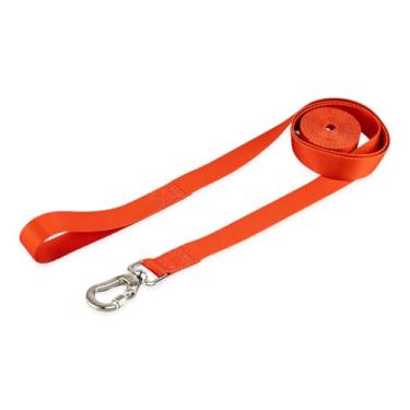 Imagem de Basic Pet Coleira Guia 5 Metros Para Cães Cachorro Adestramento Passeio Porte Grande Médio Pequeno (Vermelho, P)