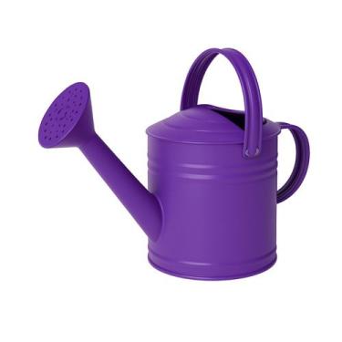Imagem de Mini Regador de Metal Galvanizado 3 Litros - Jardim, Horta e Decoração