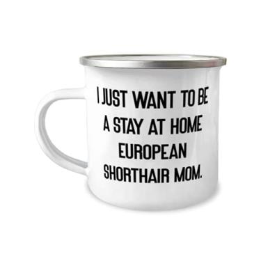 Imagem de Linda caneca europeia de pelo curto de 355 ml, I Just Want to Be a Stay at Home, presente para amantes de gatos, especial de amigos