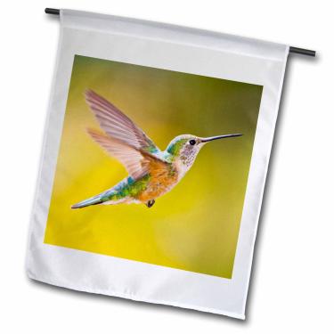Imagem de 3dRose fl_88845_1 Colorado, Summit Co, Heeney, Rufous beija-flor d-Us06 Bja0086-Jaynes Gallery Bandeira de jardim, 30 x 45 cm