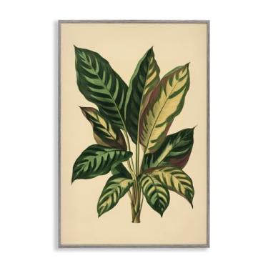 Imagem de Stupell Industries Arte giclée emoldurada cinza com folhas tropicais e folhas verdes, design por Petal Prints Design, 61 x 40 cm