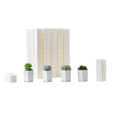 Imagem de BangQiao Pacote com 120 vasos pequenos de plástico branco para berçário e mudas de 6 cm, plantador de sementes de transplante profundo com orifício de drenagem para germinação, ervas, suculentas