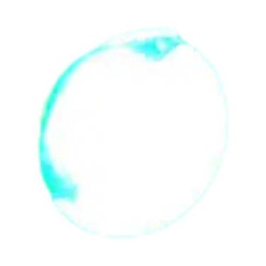 Imagem de Luz LED Eagle Eye Branca Vermelha Azul 18mm 23mm 12V À Prova d'Água Pa